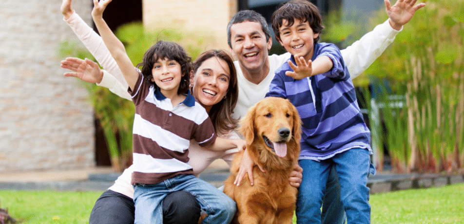 flame guard systems family